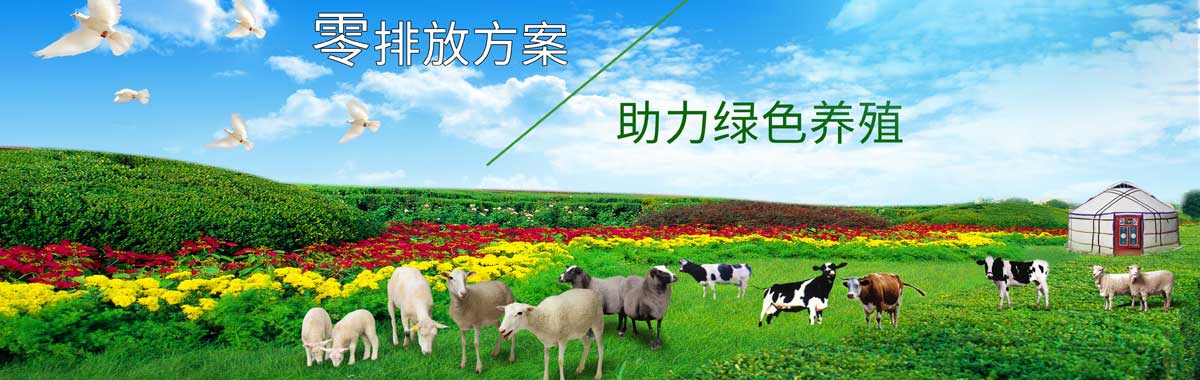 &#26131;&#28216;&#40;&#20013;&#22269;&#41;&#121;&#105;&#121;&#111;&#117;